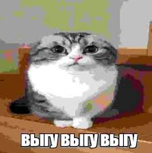 бабо руина комп