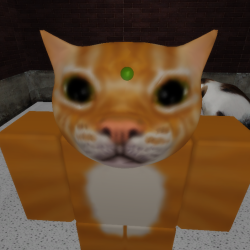 Soda edition