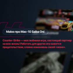 Интервью со скинмейкерами The Gallery Case: MAC-10 Saiba Oni от Maloo & Kio312