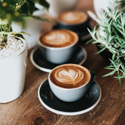GROOK COFEE