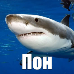 ОПРОС: ВО ЧТО МНЕ ПОИГРАТЬ ? 