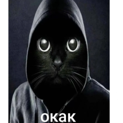 Котость кликер