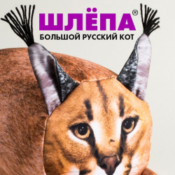 Автор
